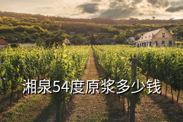 湘泉54度原漿多少錢