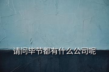 請(qǐng)問畢節(jié)都有什么公司呢