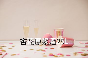 杏花原漿酒25L