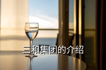 三和集團的介紹