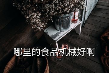 哪里的食品機(jī)械好啊