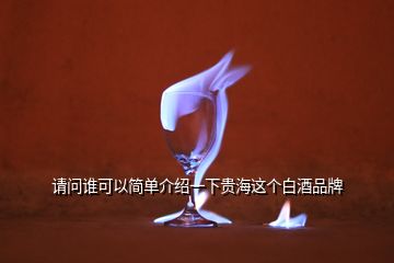 請(qǐng)問(wèn)誰(shuí)可以簡(jiǎn)單介紹一下貴海這個(gè)白酒品牌