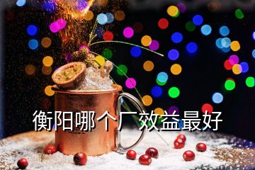 衡陽哪個(gè)廠效益最好