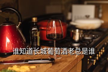 誰(shuí)知道長(zhǎng)城葡萄酒老總是誰(shuí)