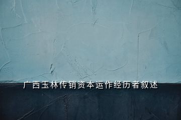 廣 西 玉 林 傳 銷 資 本 運(yùn) 作 經(jīng) 歷 者 敘 述