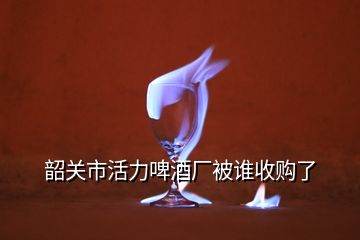 韶關(guān)市活力啤酒廠被誰收購了