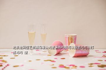 北京龍鳳佳藝貿(mào)易有限公司是騙局嗎我可以報警嗎可以打官司嗎  搜