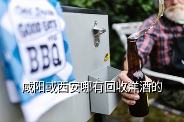 咸陽(yáng)或西安哪有回收洋酒的
