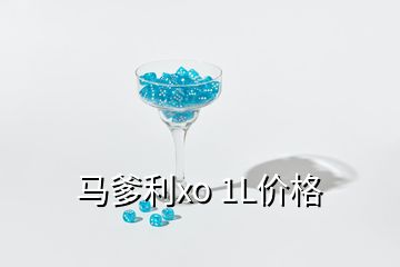 馬爹利xo 1L價(jià)格