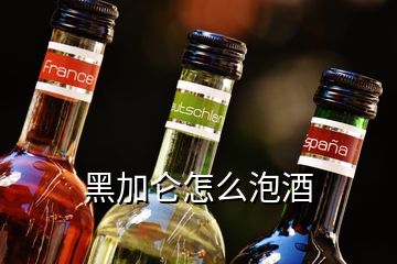 黑加侖怎么泡酒