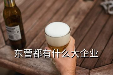 東營都有什么大企業(yè)