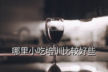 哪里小吃培訓比較好些