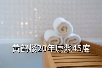 黃鶴樓20年原漿45度