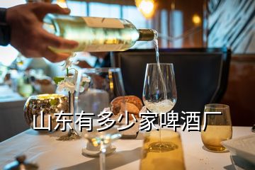 山東有多少家啤酒廠