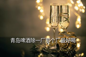 青島啤酒除一廠那個廠最好喝