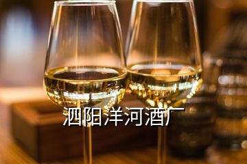 泗陽(yáng)洋河酒廠