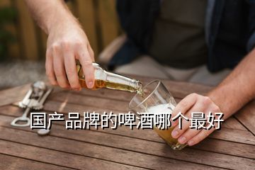 國(guó)產(chǎn)品牌的啤酒哪個(gè)最好