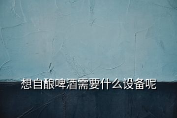 想自釀啤酒需要什么設備呢