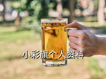 小彩旗個人資料