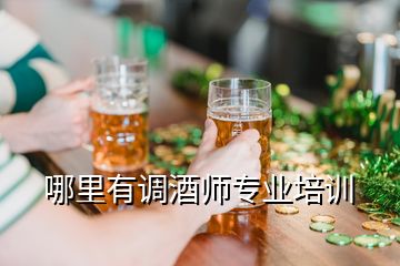 哪里有調(diào)酒師專業(yè)培訓(xùn)