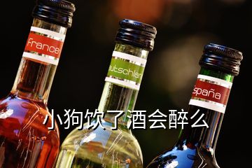 小狗飲了酒會醉么