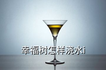 幸福樹(shù)怎樣澆水i