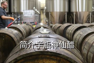 簡(jiǎn)介半瓶神仙醋