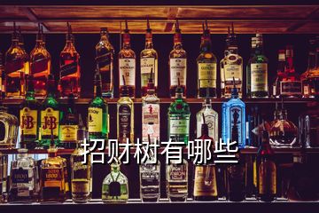 招財(cái)樹(shù)有哪些