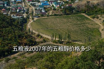 五糧液2007年的五糧醇價(jià)格多少