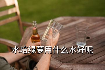 水培綠蘿用什么水好呢