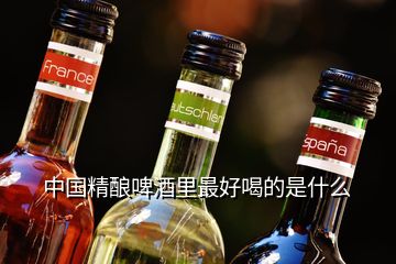 中國(guó)精釀啤酒里最好喝的是什么