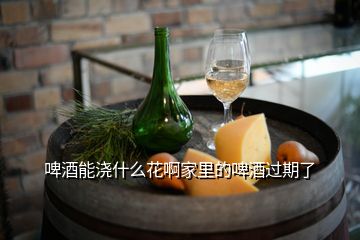 啤酒能澆什么花啊家里的啤酒過(guò)期了