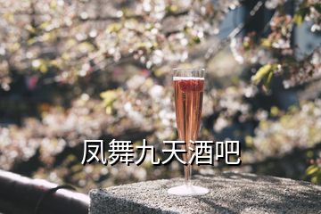 鳳舞九天酒吧