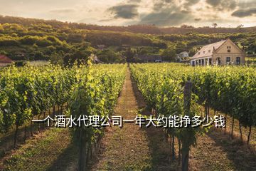 一個(gè)酒水代理公司一年大約能掙多少錢