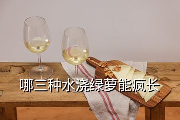 哪三種水澆綠蘿能瘋長(zhǎng)