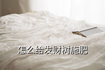 怎么給發(fā)財(cái)樹施肥