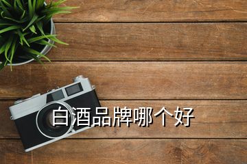 白酒品牌哪個(gè)好