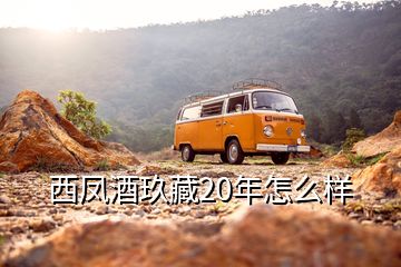 西鳳酒玖藏20年怎么樣