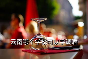 云南哪個學(xué)?？梢詫W(xué)調(diào)酒