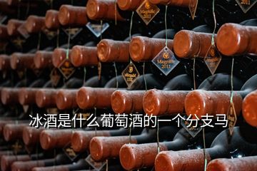 冰酒是什么葡萄酒的一個分支馬