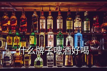 什么牌子啤酒好喝