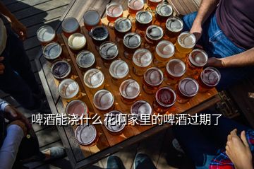 啤酒能澆什么花啊家里的啤酒過期了