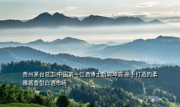 貴州茅臺(tái)總工 中國(guó)第一位酒博士后郭坤亮 親手打造的柔雅醬香型白酒市場(chǎng)