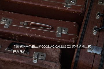 卡慕皇家干邑白蘭地COGNAC CAMUS XO 這種酒圖上這種酒真酒