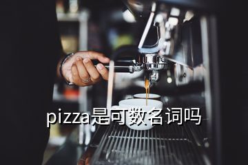 pizza是可數(shù)名詞嗎