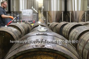 hennessy軒尼詩VS干邑白蘭地 1000毫升報(bào)價(jià)