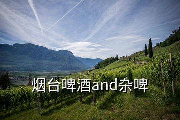 煙臺(tái)啤酒and雜啤