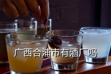 廣西合浦市有酒廠嗎