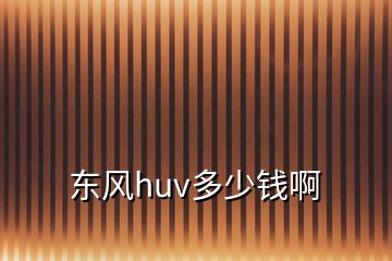 東風(fēng)huv多少錢啊