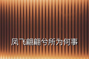 鳳飛翩翩兮所為何事